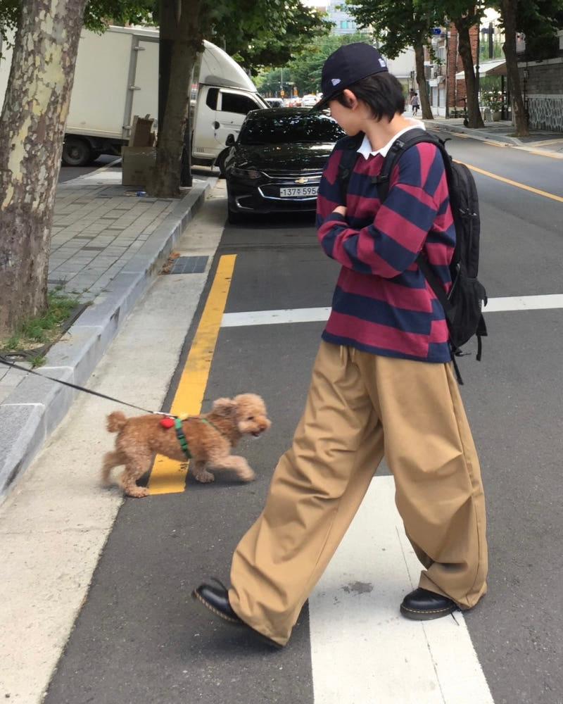 레터프 핀턱 벌룬 코튼 팬츠 4C