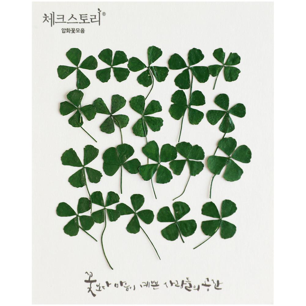 [압화/줄기잎] 네잎클로버(20개)(염색) 대/중/소