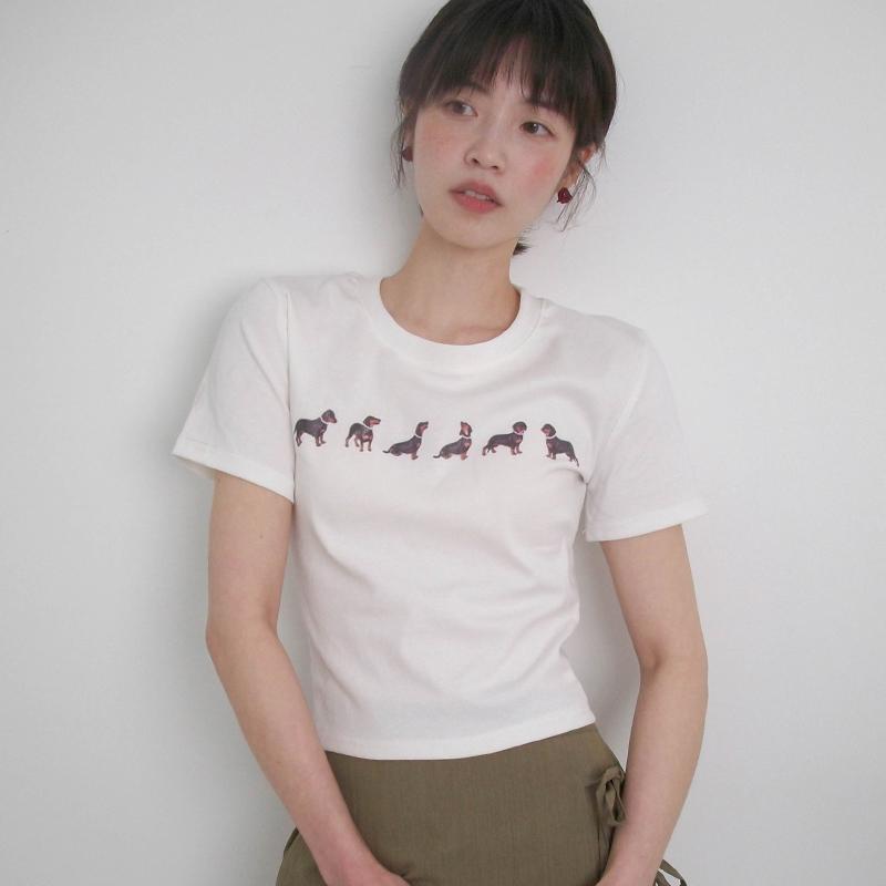 프롬비기닝 도그 크롭 반팔티 (2color) (반팔 반팔티 휴양지룩 휴양지 기본티 티셔츠 출근룩 여름 여름옷 크롭티)