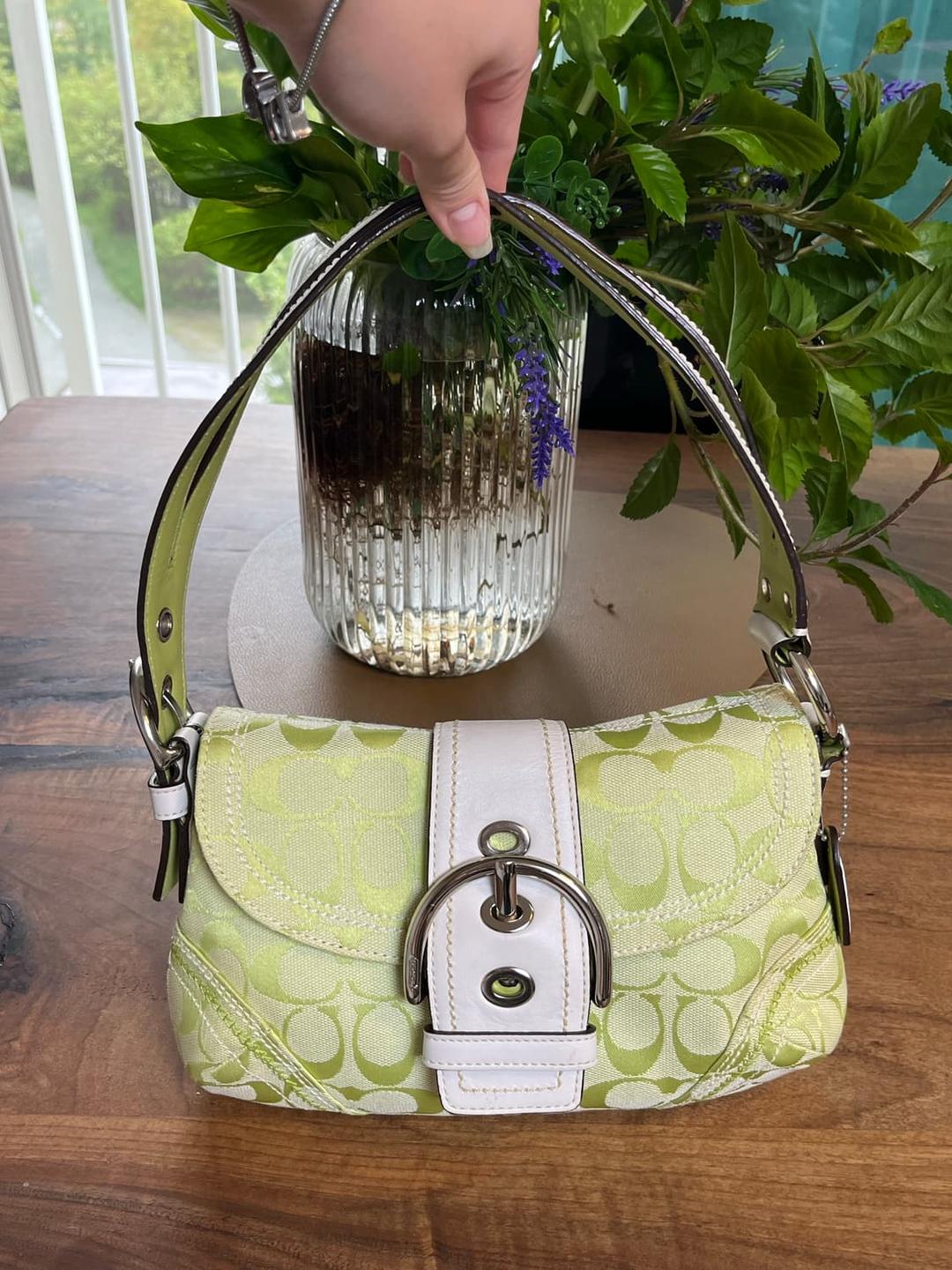 Coach - light green shoulder bag | 후루츠패밀리