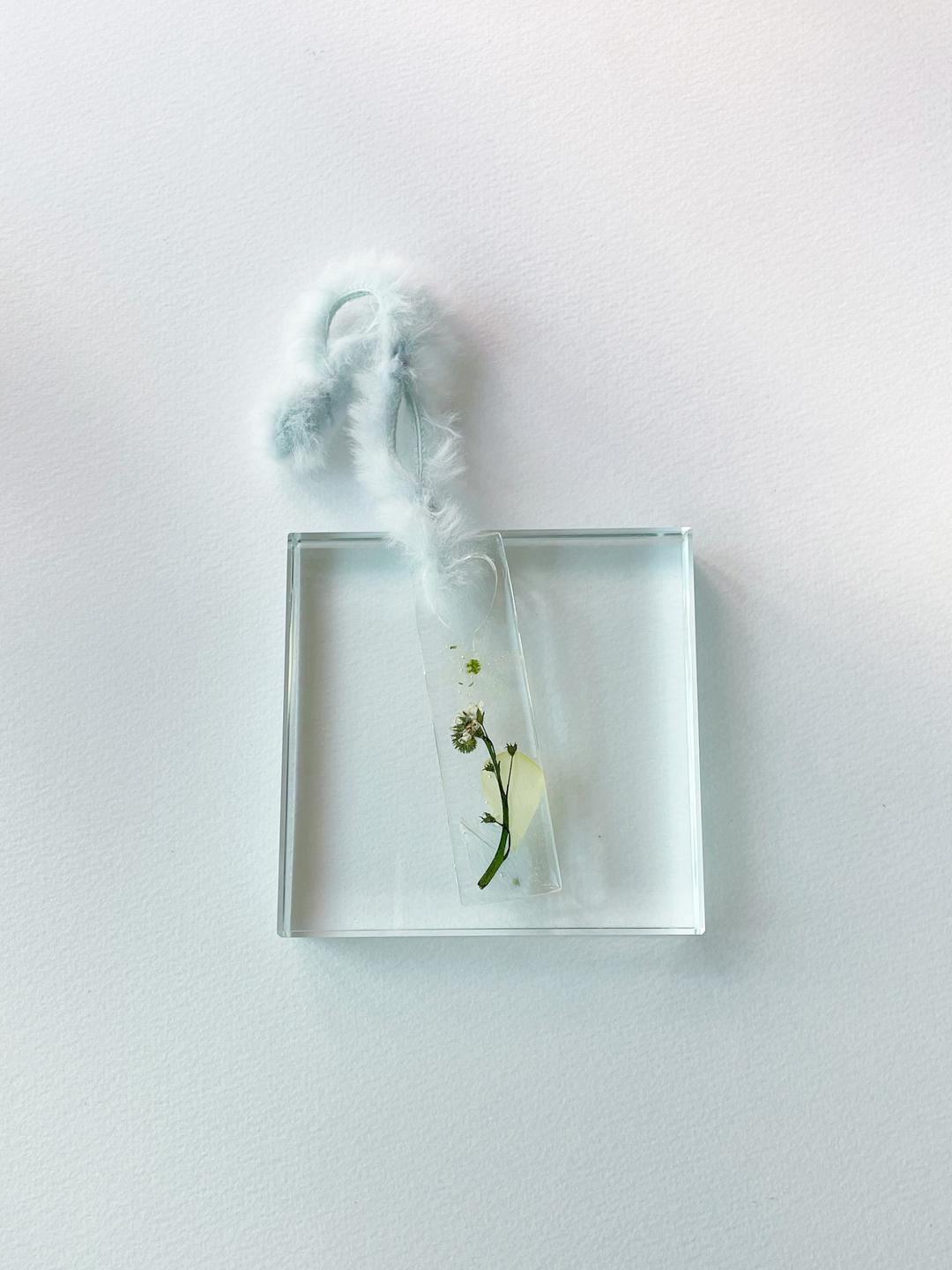 Mongsang Bookmark - Early spring