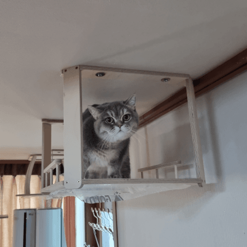 하늘 투명 사각 쉼터