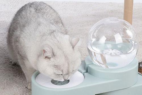 [리퍼] ZEZE 버블펫 더블 볼식기