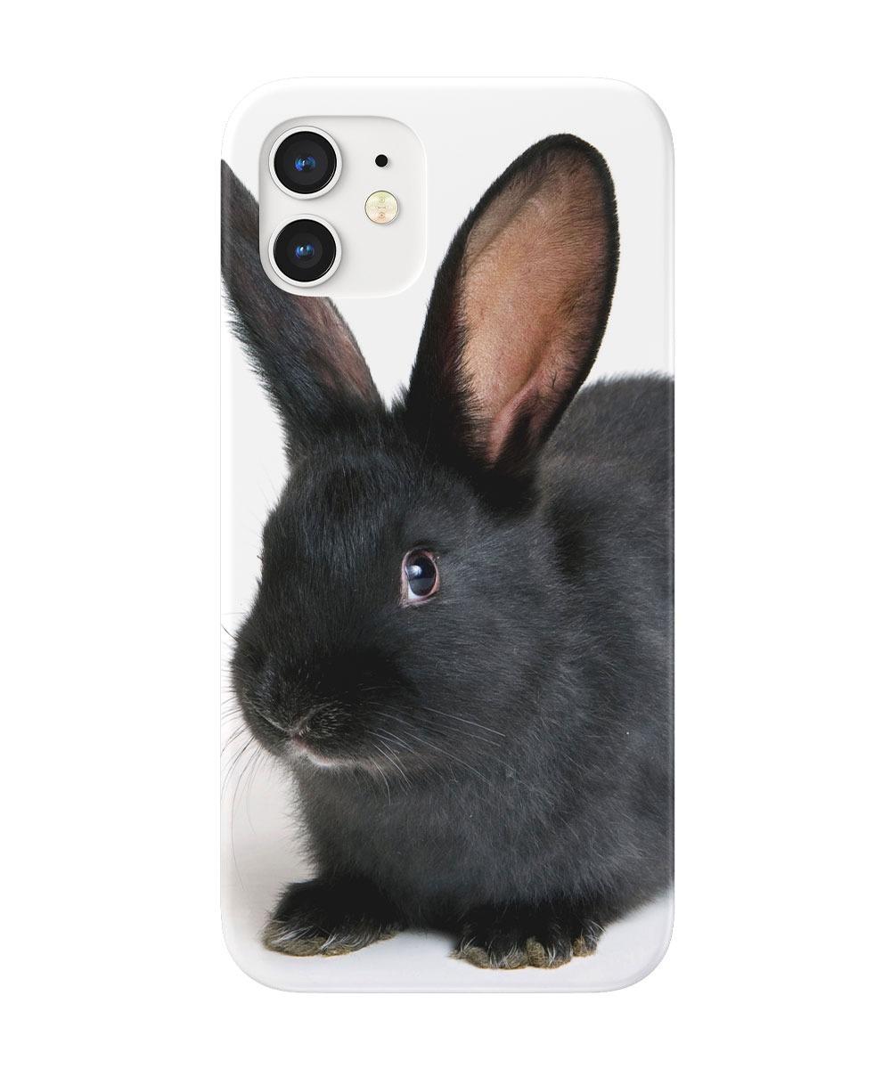 Blackrabbit case