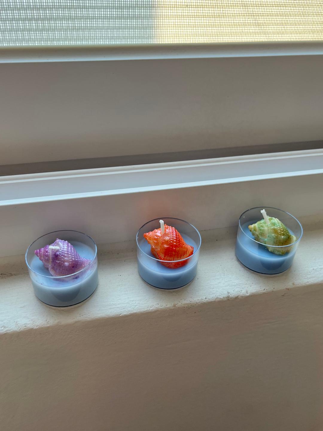 (YCC) Mini Shell Tealight Candle