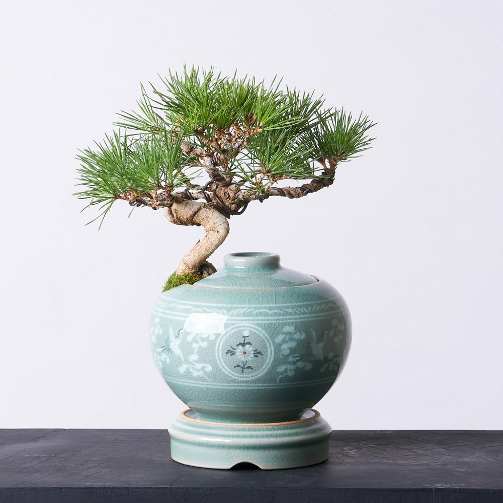 해송 운학 청자항아리