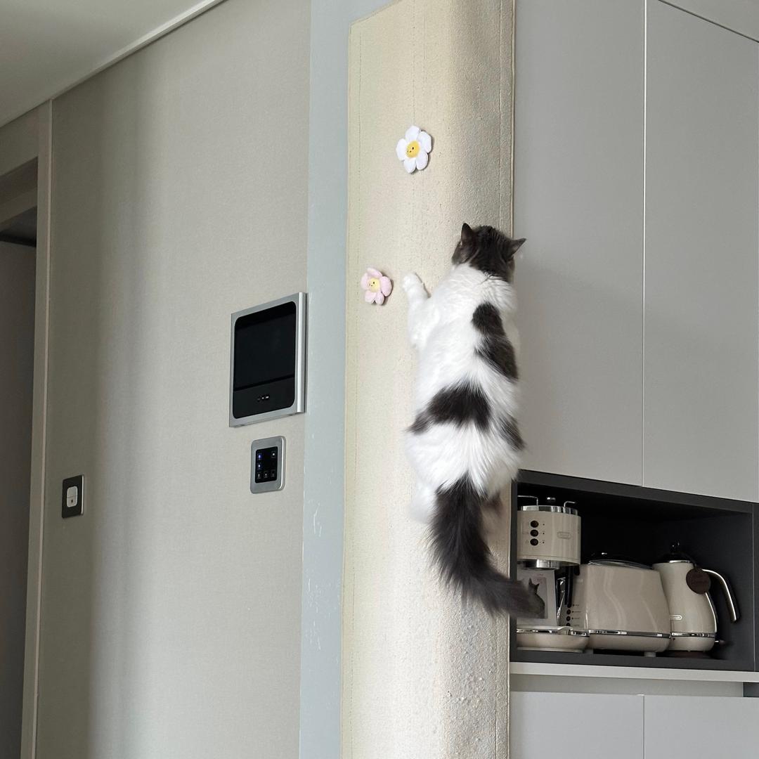 도레미파 타고 오르는 초대형 냥오름 기본 미니 벽부착 수직 고양이 스크래쳐 장난감