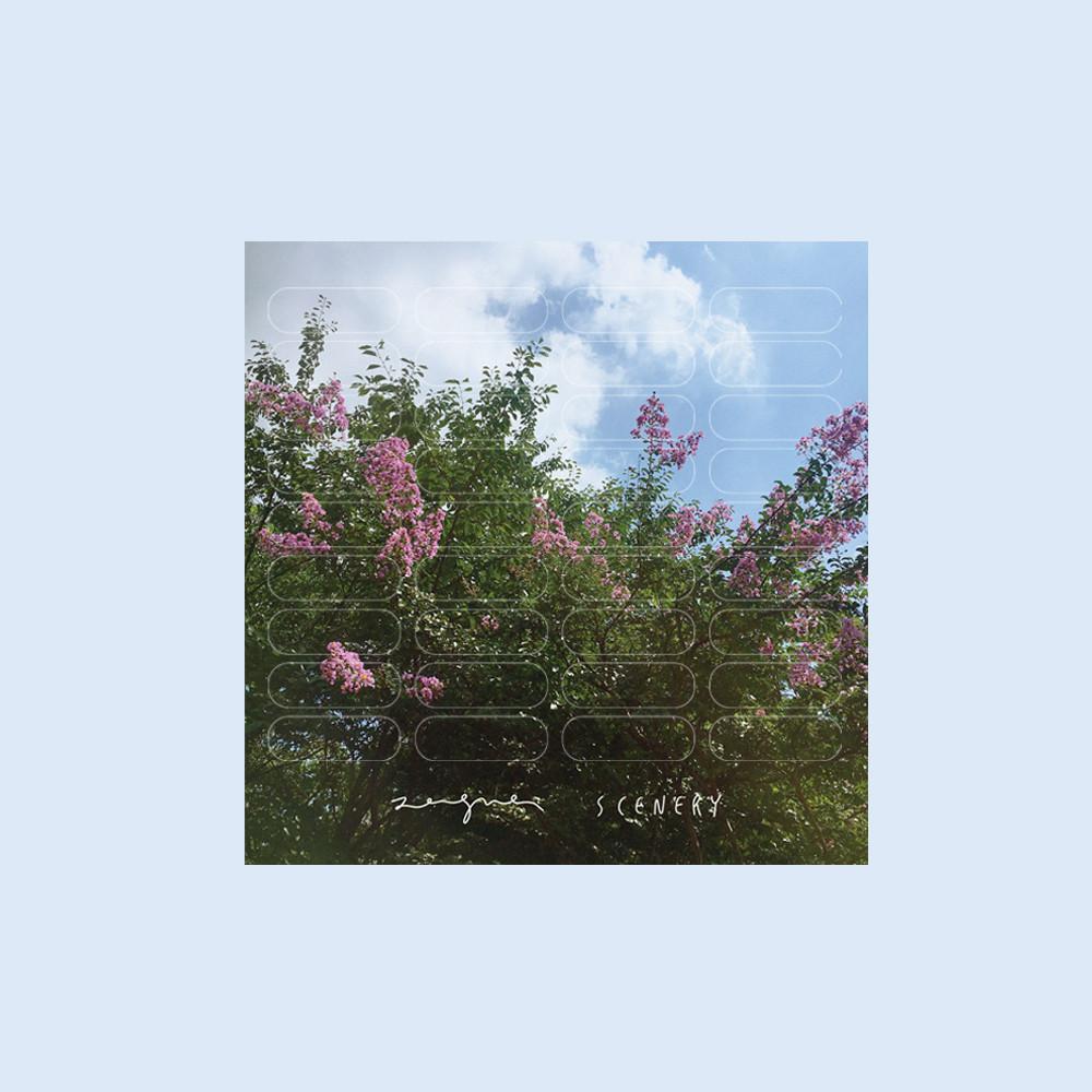 summer tree sticker / 배롱나무 스티커 / 시너리 스티커