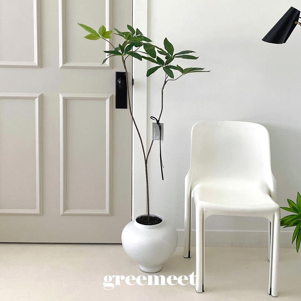 그리밋 리얼플랜트 파키라 대형 생화같은조화 인조 조화나무 인테리어조화