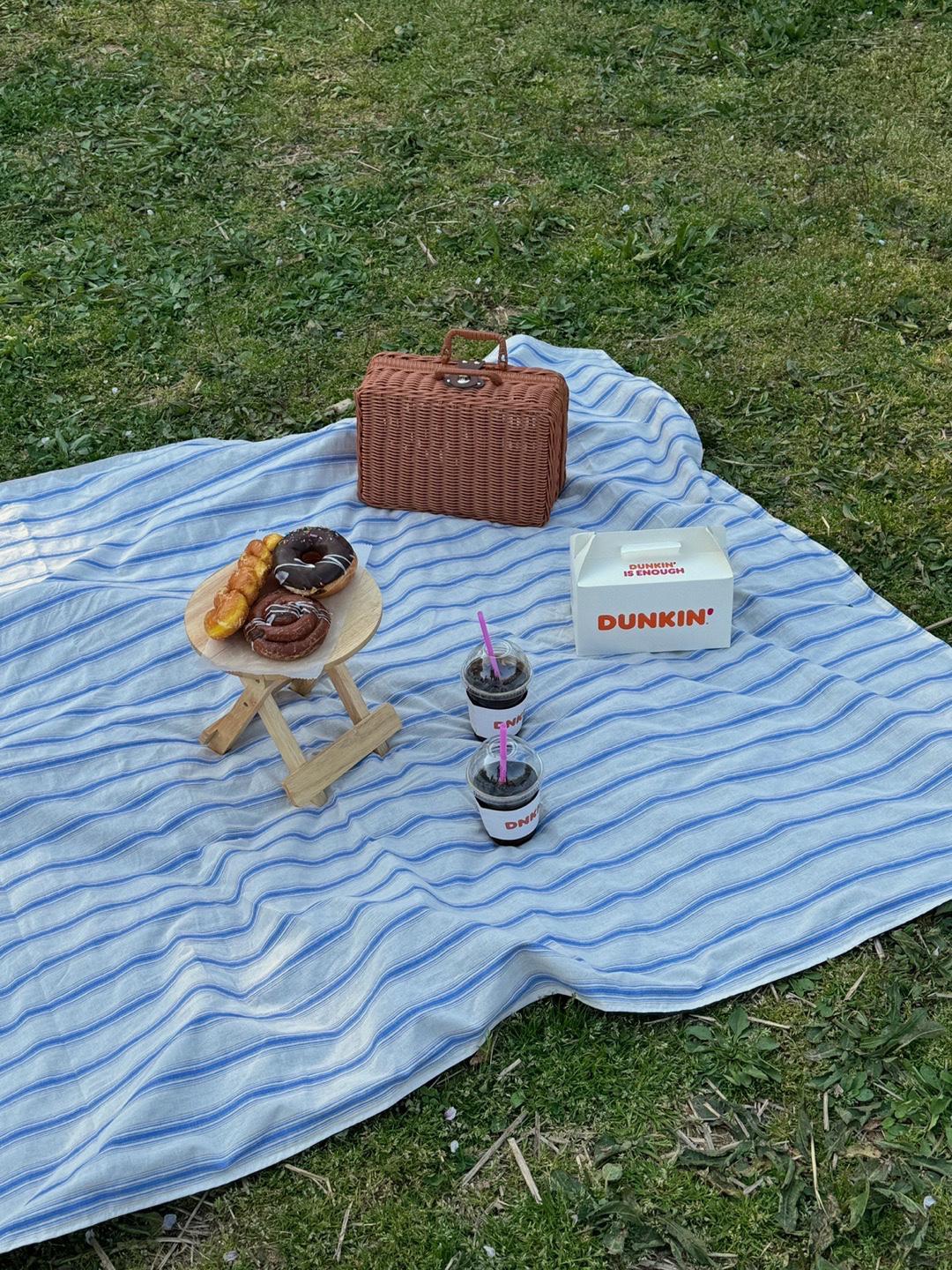 헤이버터 스트라이프 가벼운 휴대용 피크닉 양면 대형 방수 피크닉매트