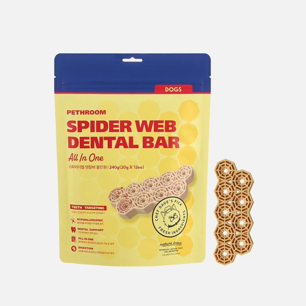 스파이더웹 덴탈바 올인원