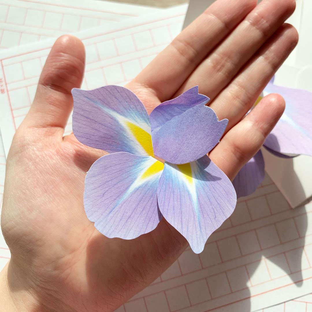 압화편지 곰신편지지 예단편지 프로포즈편지지 아이리스