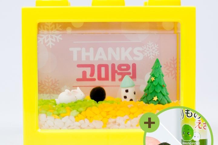 미니토끼마을 마리모 키우기 세트 마리모포함