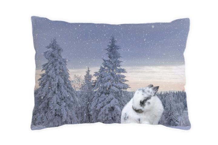 토끼 포토 베개커버 / 05 Snow Bunny