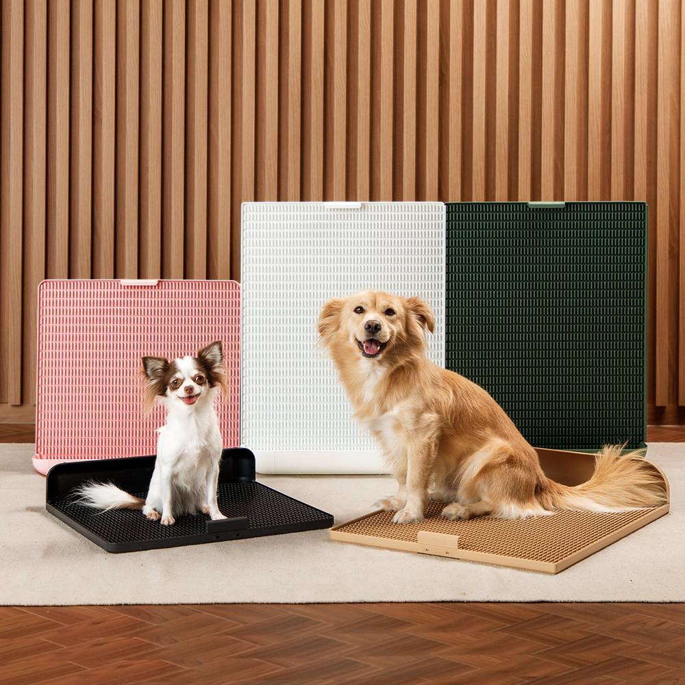 독톡 연장형 세움 배변판