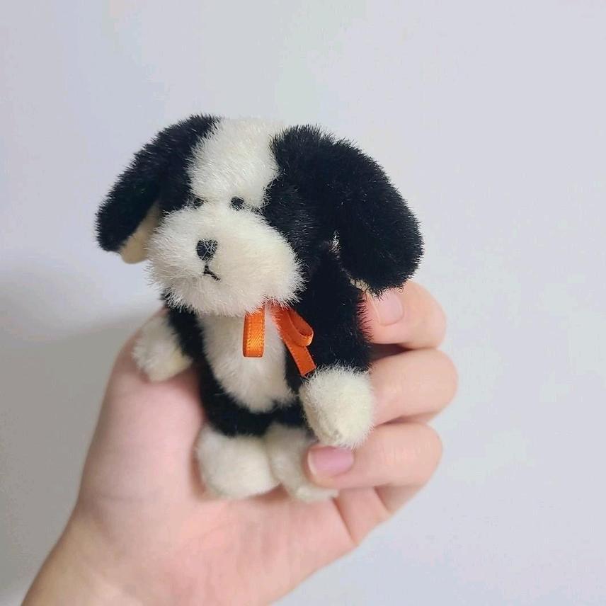 sale)보이즈베어 쪼꼬미 강아지 레어