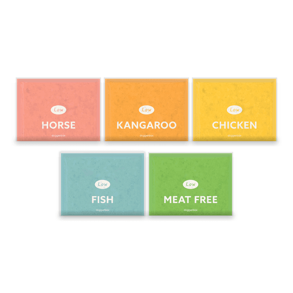 도거박스 케어팩 50g*25포 [신장 췌장 심장 간]