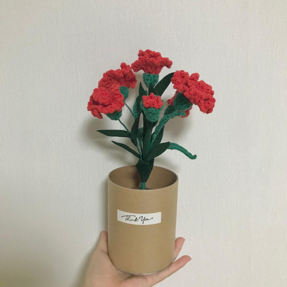 손뜨개 꽃 • 카네이션 • 코바늘 카네이션화분 • 어버이날 스승의날 선물