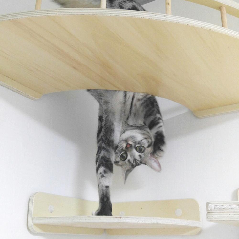 고양이 캣워크 벽 구석탱이 캣워커 2단