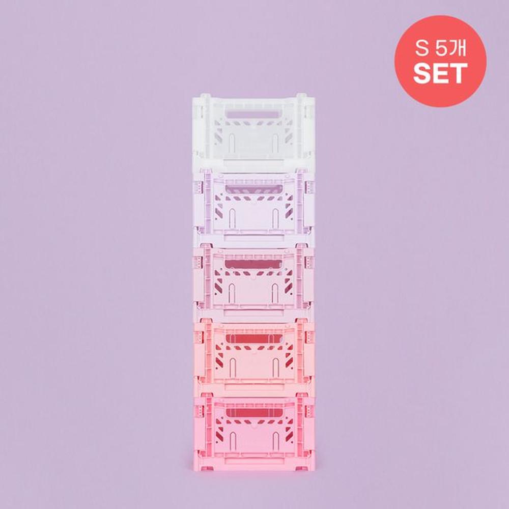 [2024정기세일]아이카사 플라워세트_라넌큘라스 (S5개)