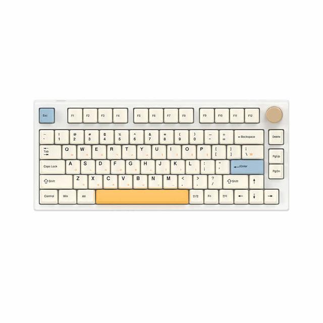 Keydous NJ80-AP RGB PBT 염료승화 팩토리 풀윤활 골드브라운축 V3 키보드