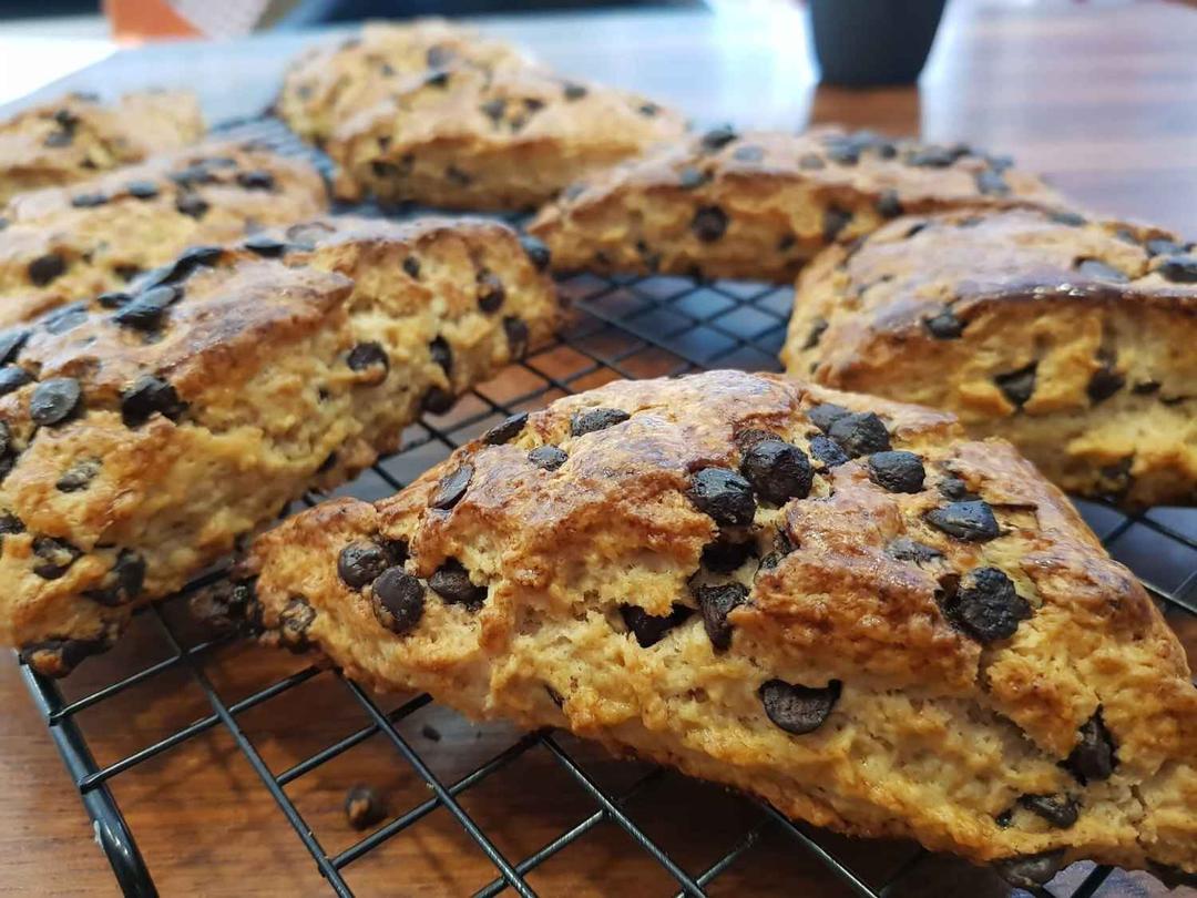 [망원동] 왕초보 도전! 스콘 2종(플레인/커피 초코칩) 16~20개 만들기