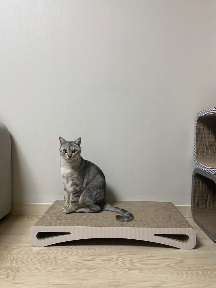 모던하냥 스크래쳐 소파 대형