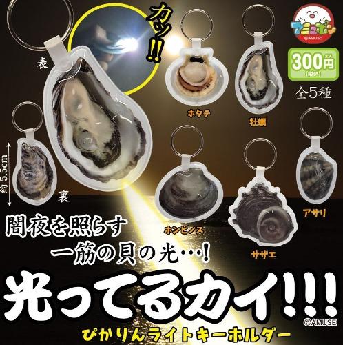 조개 라이트 가챠캡슐 5종세트