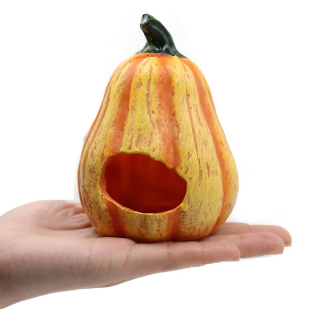 어항꾸미기 물고기은신처 호박 하우스 놀이터 어항장식 물고기 키우기