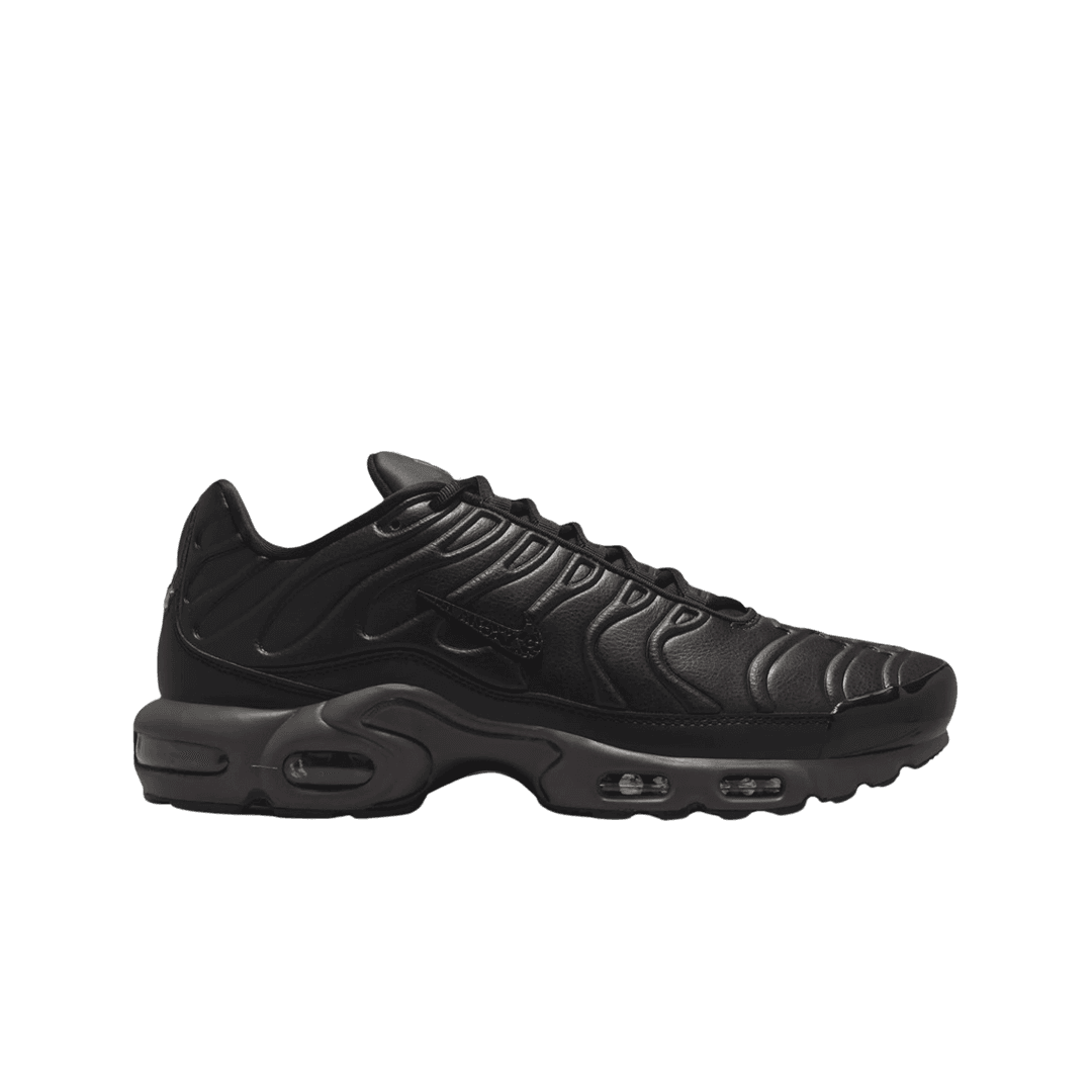 Nike Air Max Plus Premium Black Tea and Petra Brown