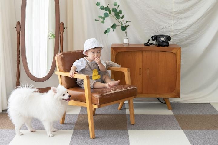 강아지 고양이 미끄럼방지 매트 타일카페트/도톰카페트 13colors