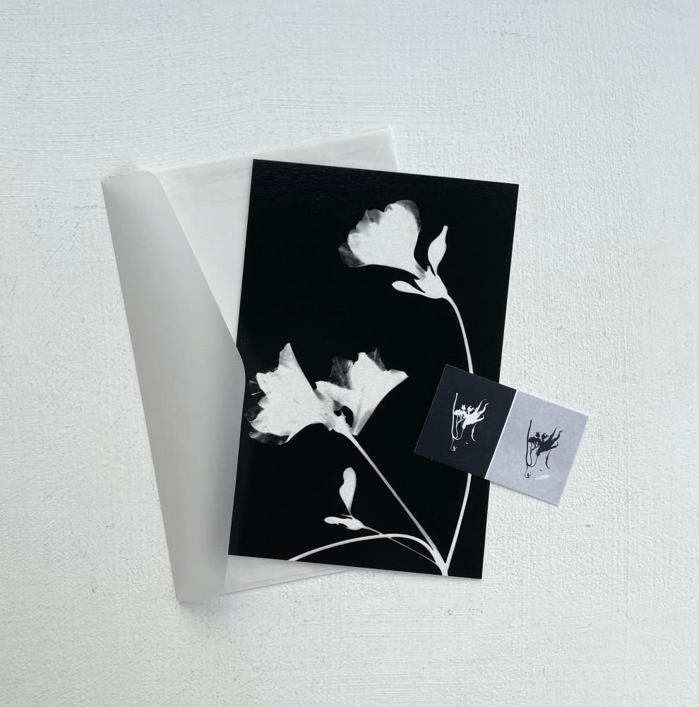 [postcard] a night flower 밤에 피는 꽃 엽서