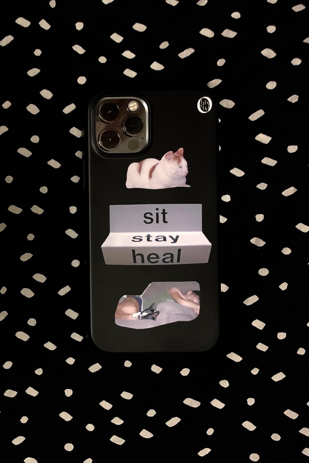s.s.h ( sit , stay , heal ) case