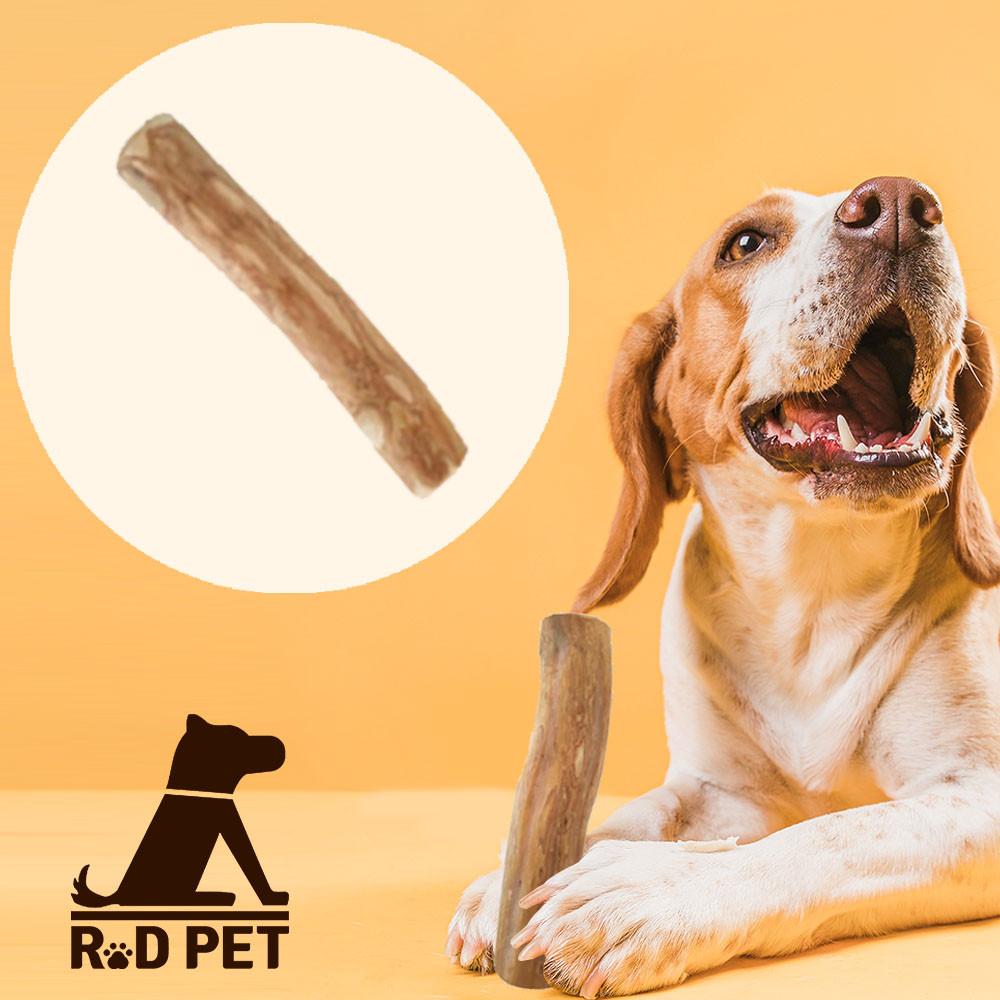 알디펫 강아지 100% 커피나무 천연장난감 이갈이 치석제거 우드스틱 XS