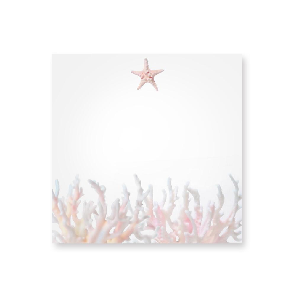 불가사리 메모지