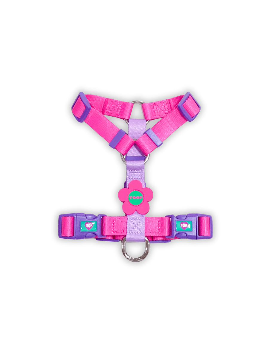 Flower Logo H Harness