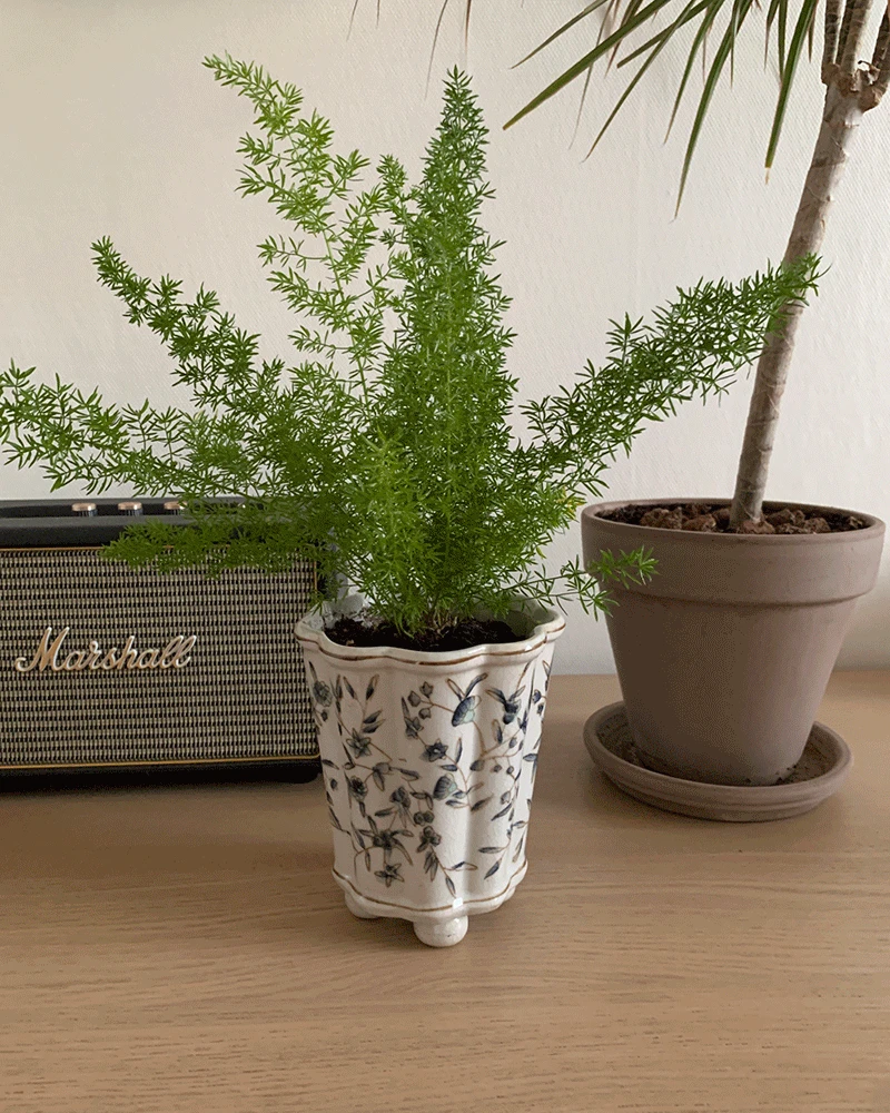 [한정수량] Vintage drawing pot (2type)