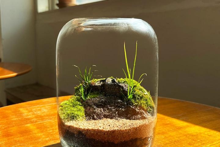 창포 이끼 DIY 테라리움 F 세트 플랜테리어