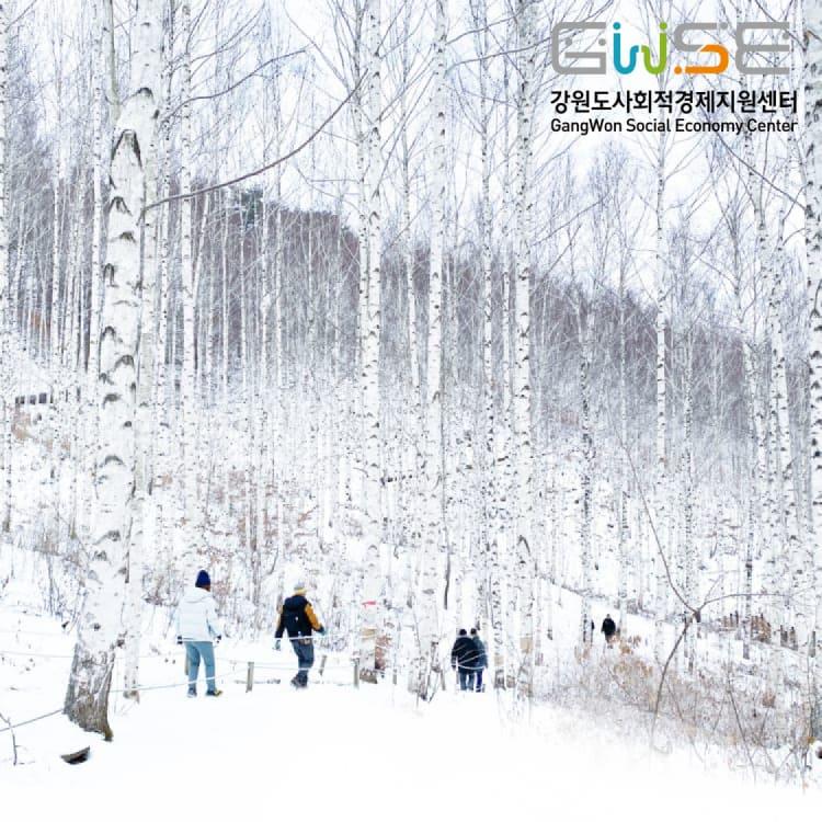 자작나무숲 한계령 겨울투어 하추리 혼자하는 산촌여행