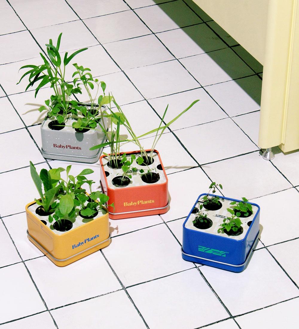 Baby Plants 2 Set