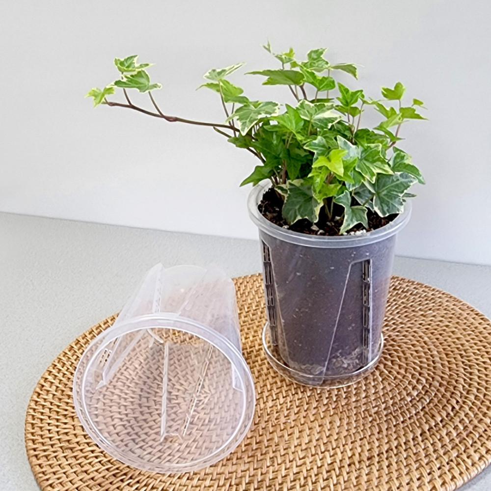 투명 롱원형 슬릿화분 플라스틱화분 삽목 분갈이 화분 10호