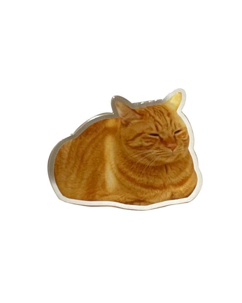 [grip tok] kitty