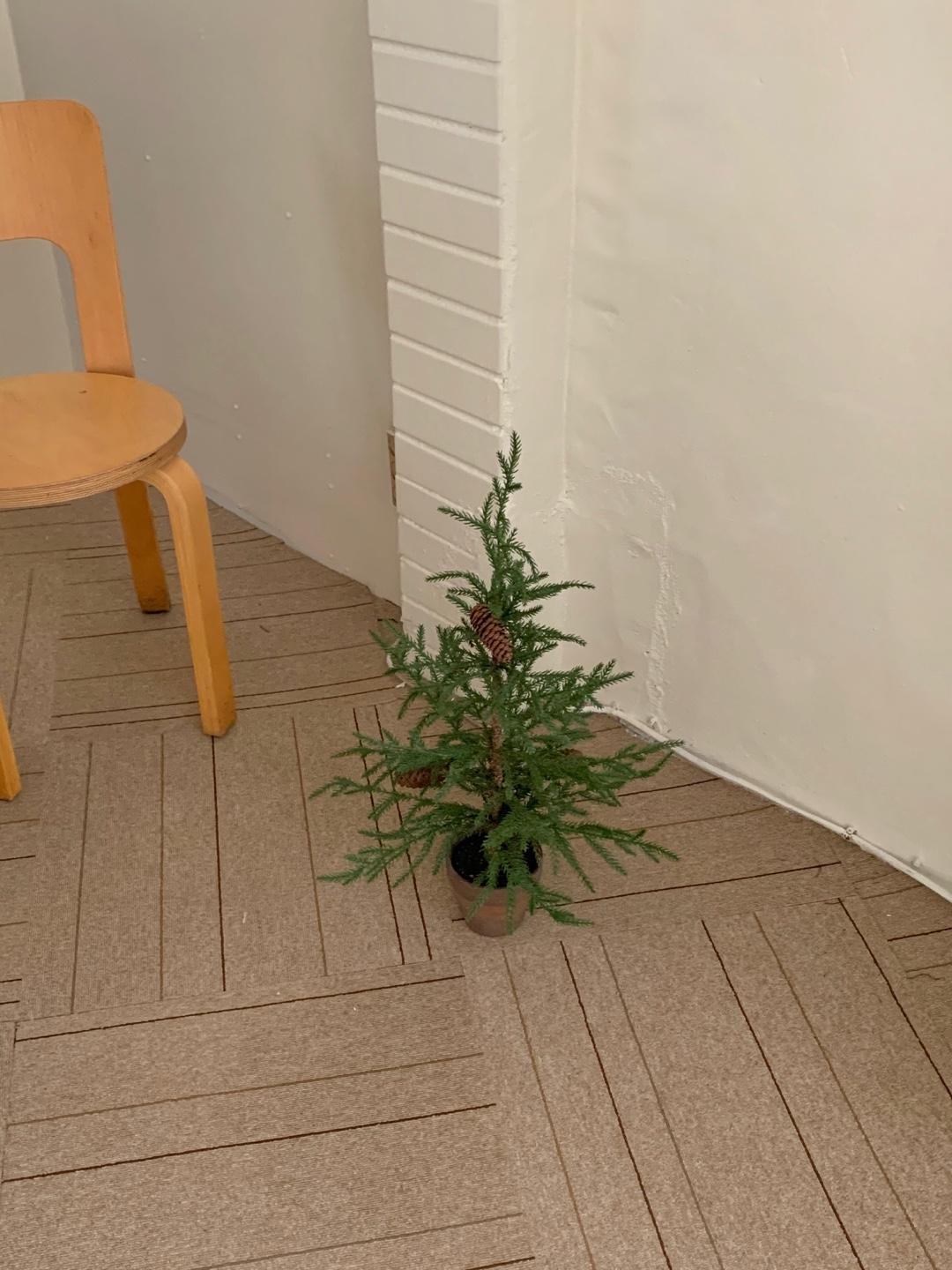 mini fine tree
