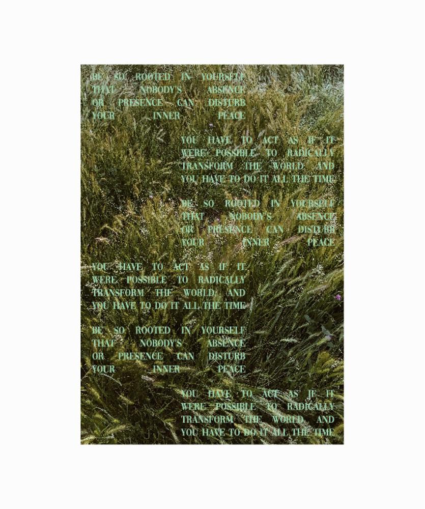 트윙클스터프, Greenery 패브릭 포스터 가림막천