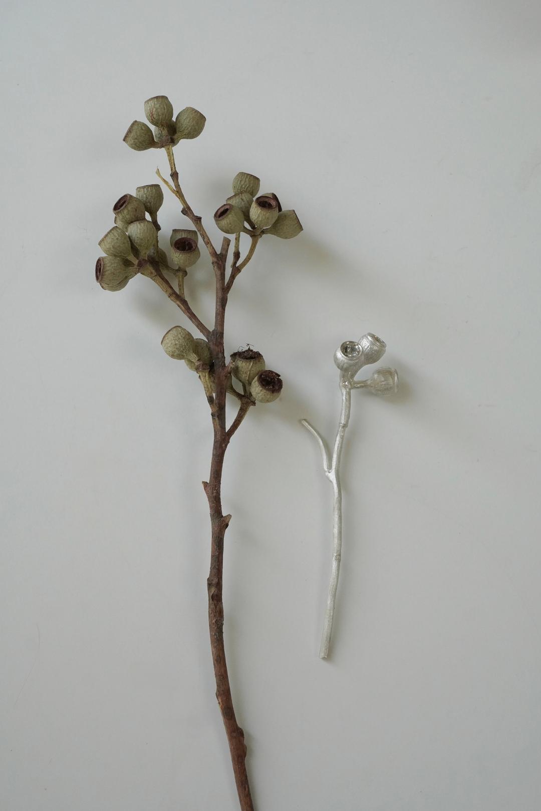 fruit branch