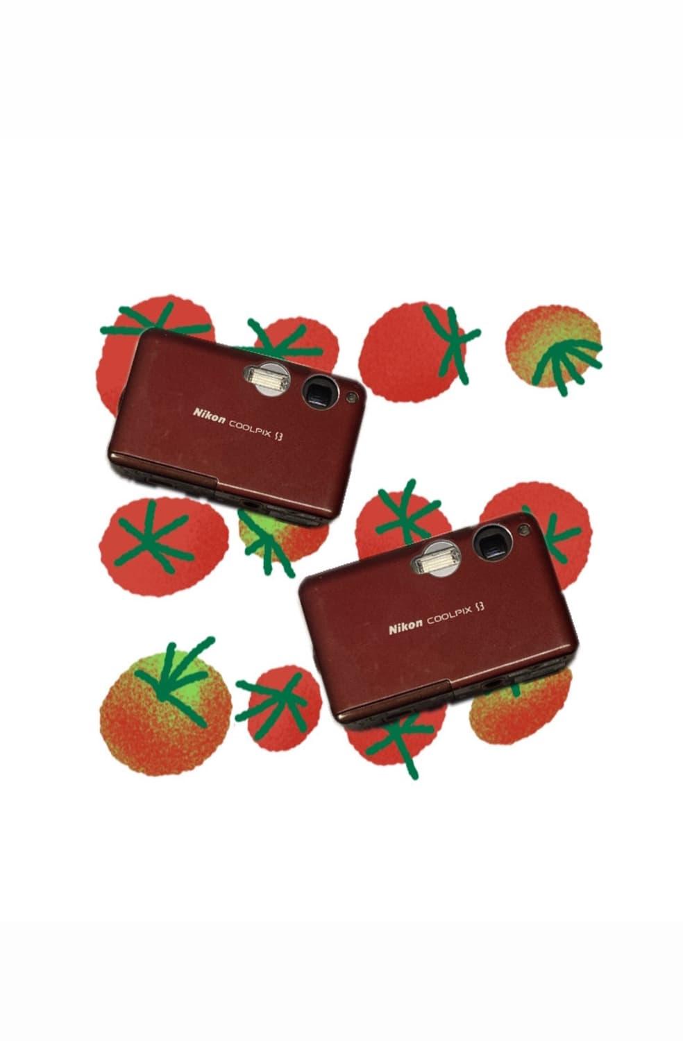 희귀!) Nikon COOLPIX S3 변우석 🍅빈티지디카 | 후루츠패밀리