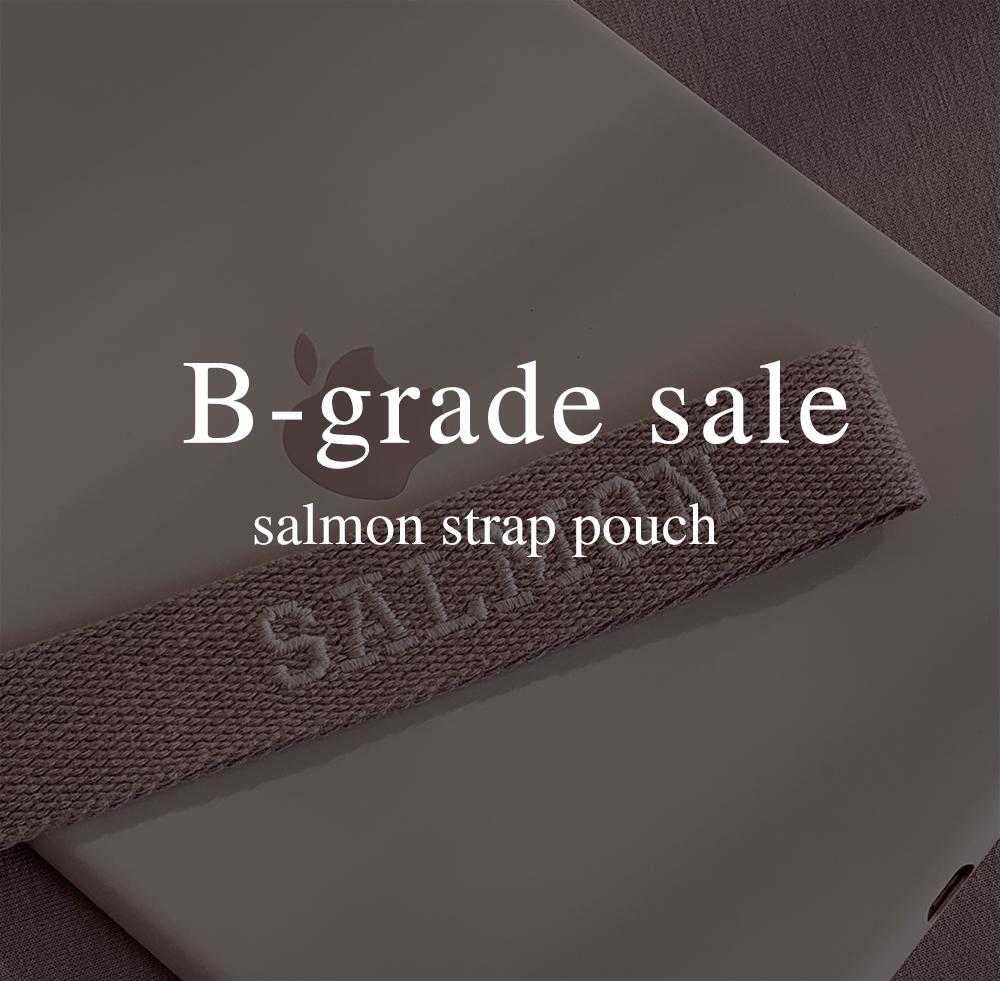 B-Grade Sale Items