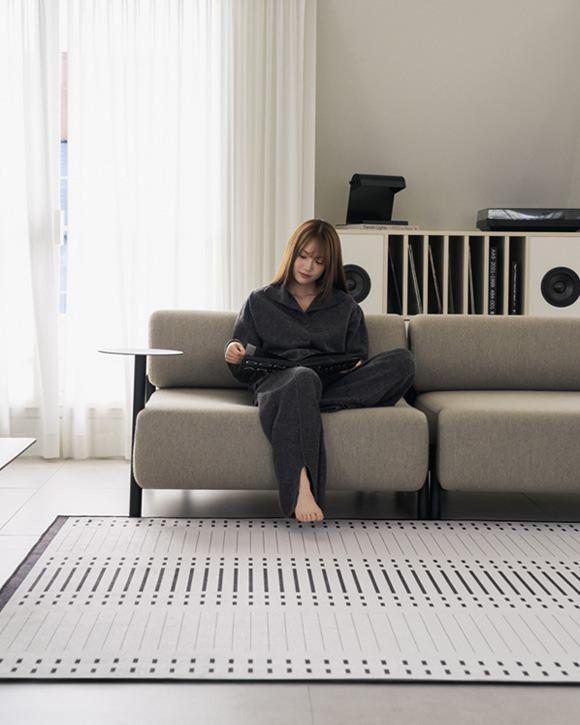 먼지없는 워셔블 러그 아스트