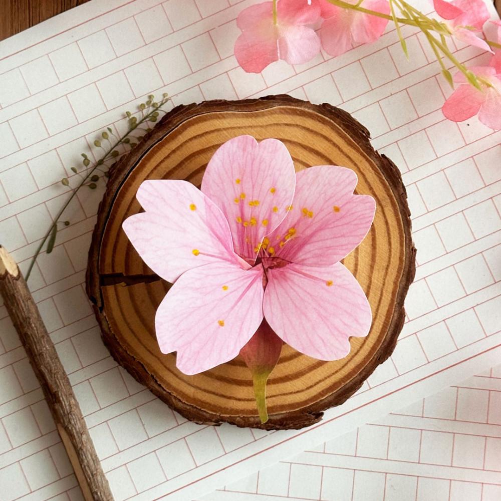 프로포즈 벚꽃 겹벚꽃 압화 편지지