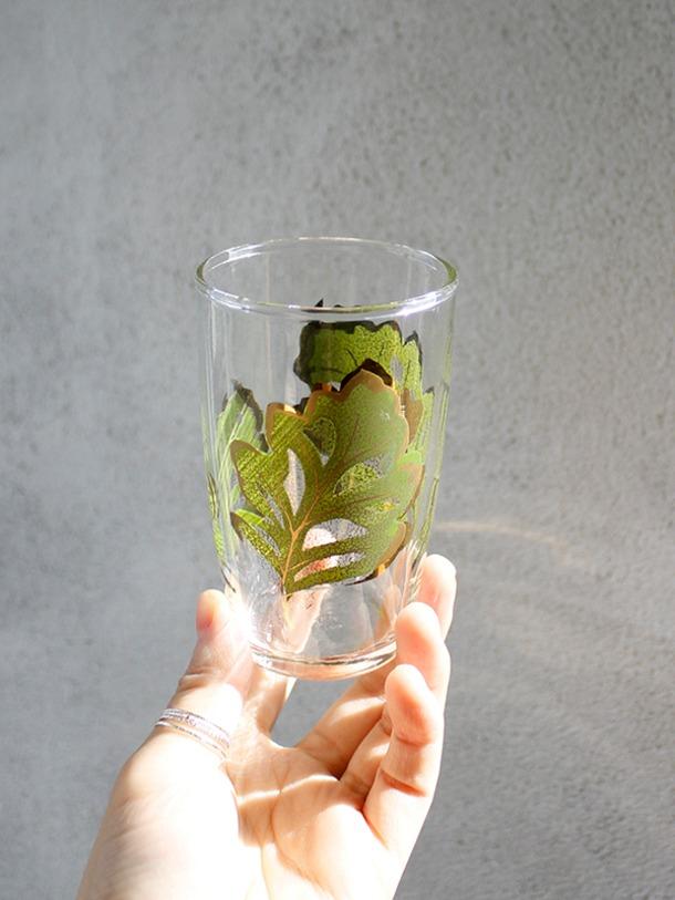 sasaki green leaf glass